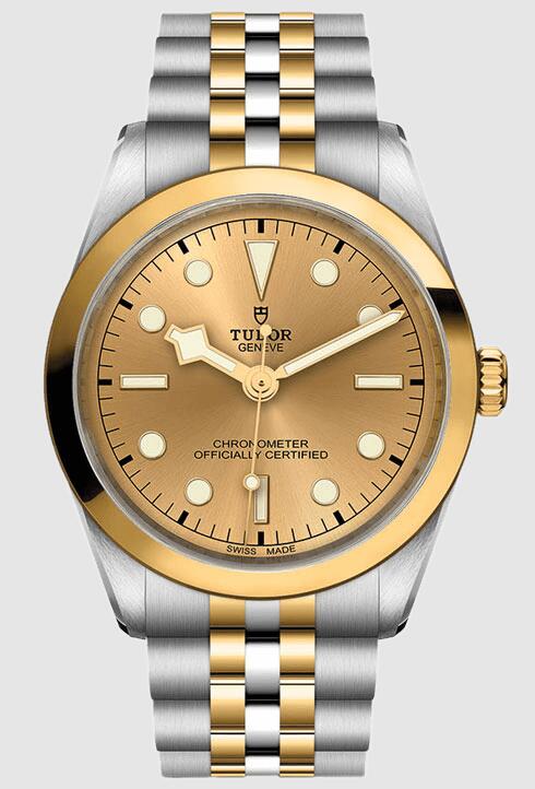 Tudor Black Bay 36 S&G 79643-0005 Replica Watch